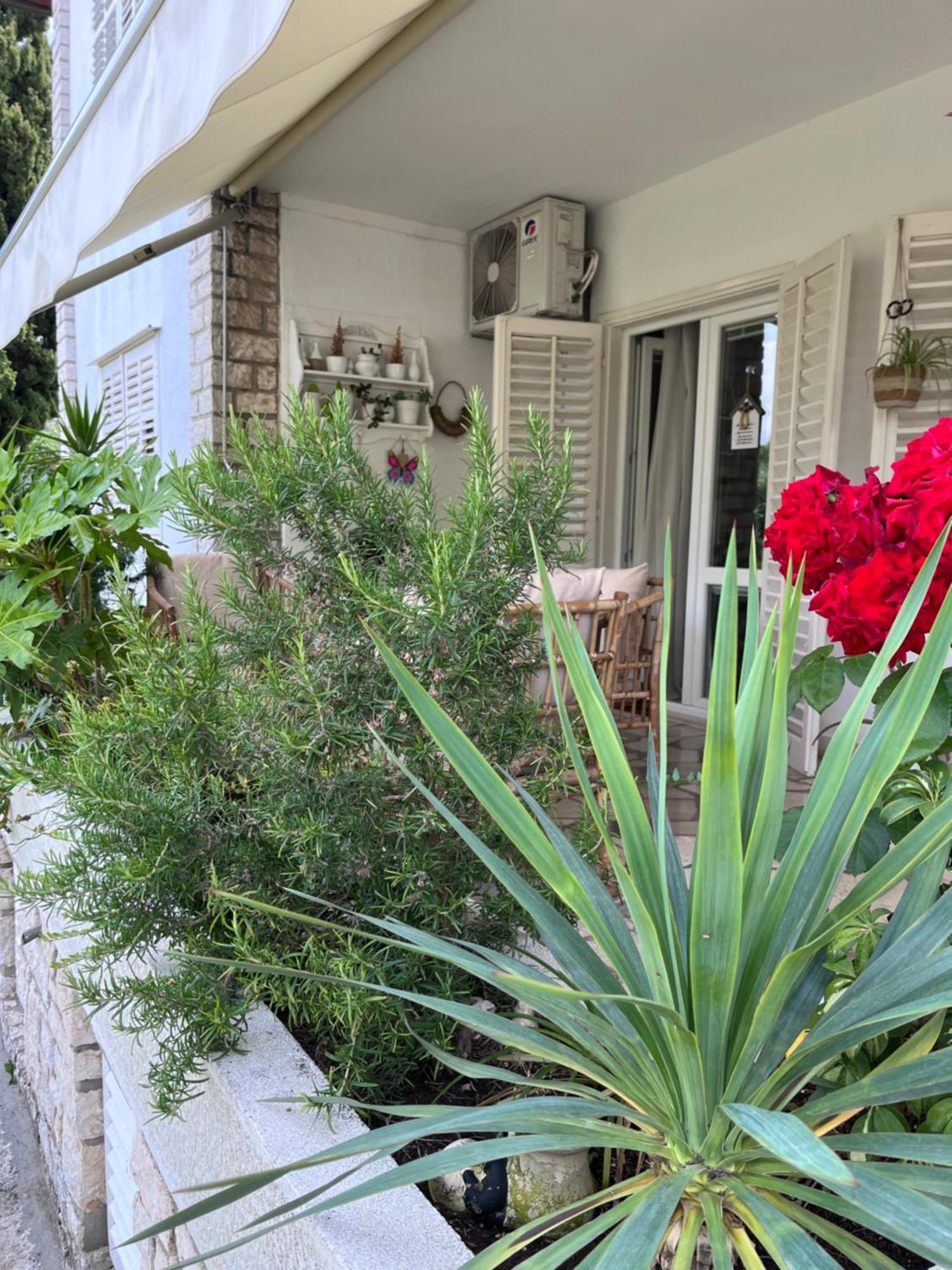 House Of Rosalia Apartment Rovinj Ngoại thất bức ảnh