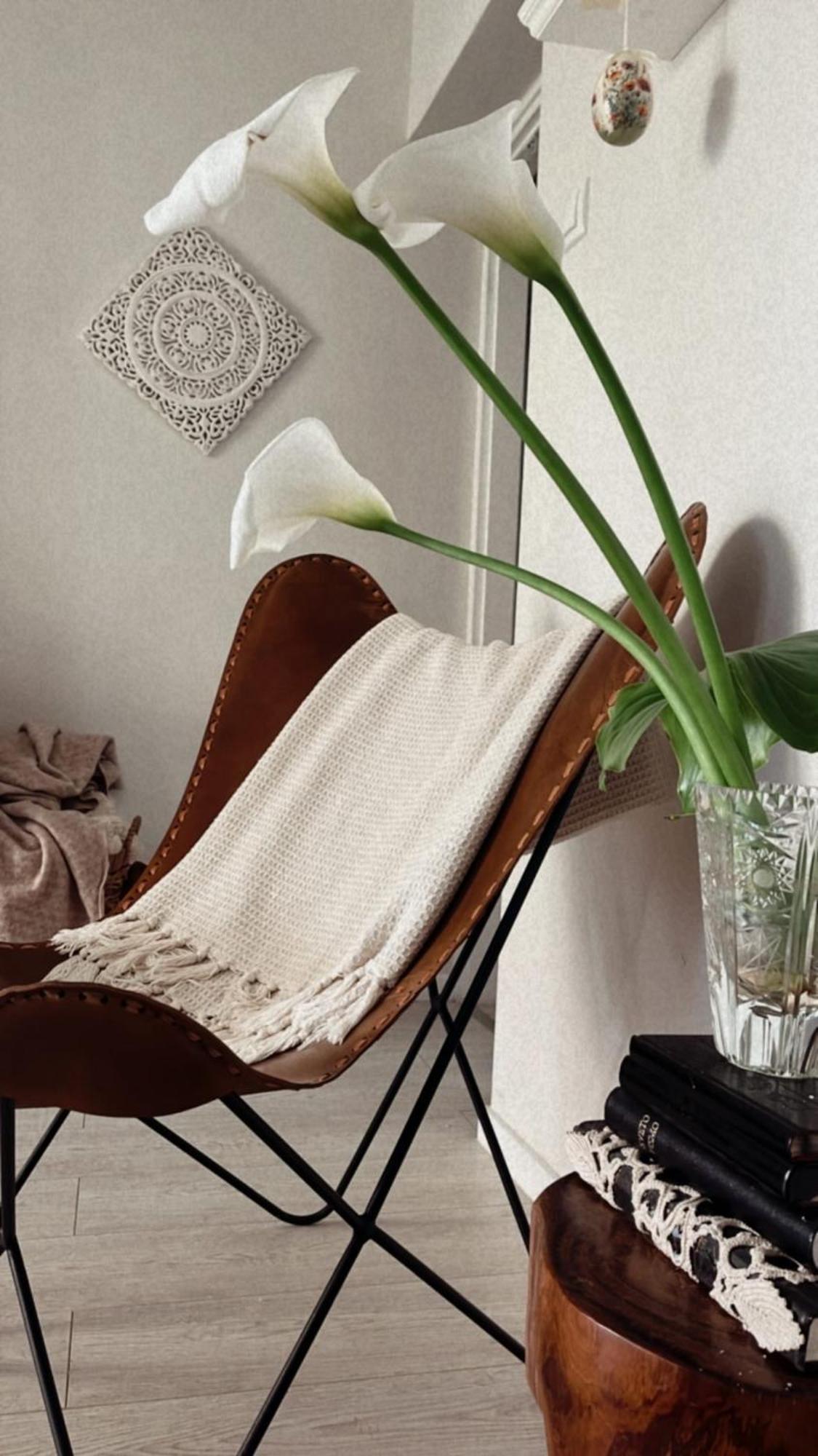 House Of Rosalia Apartment Rovinj Ngoại thất bức ảnh